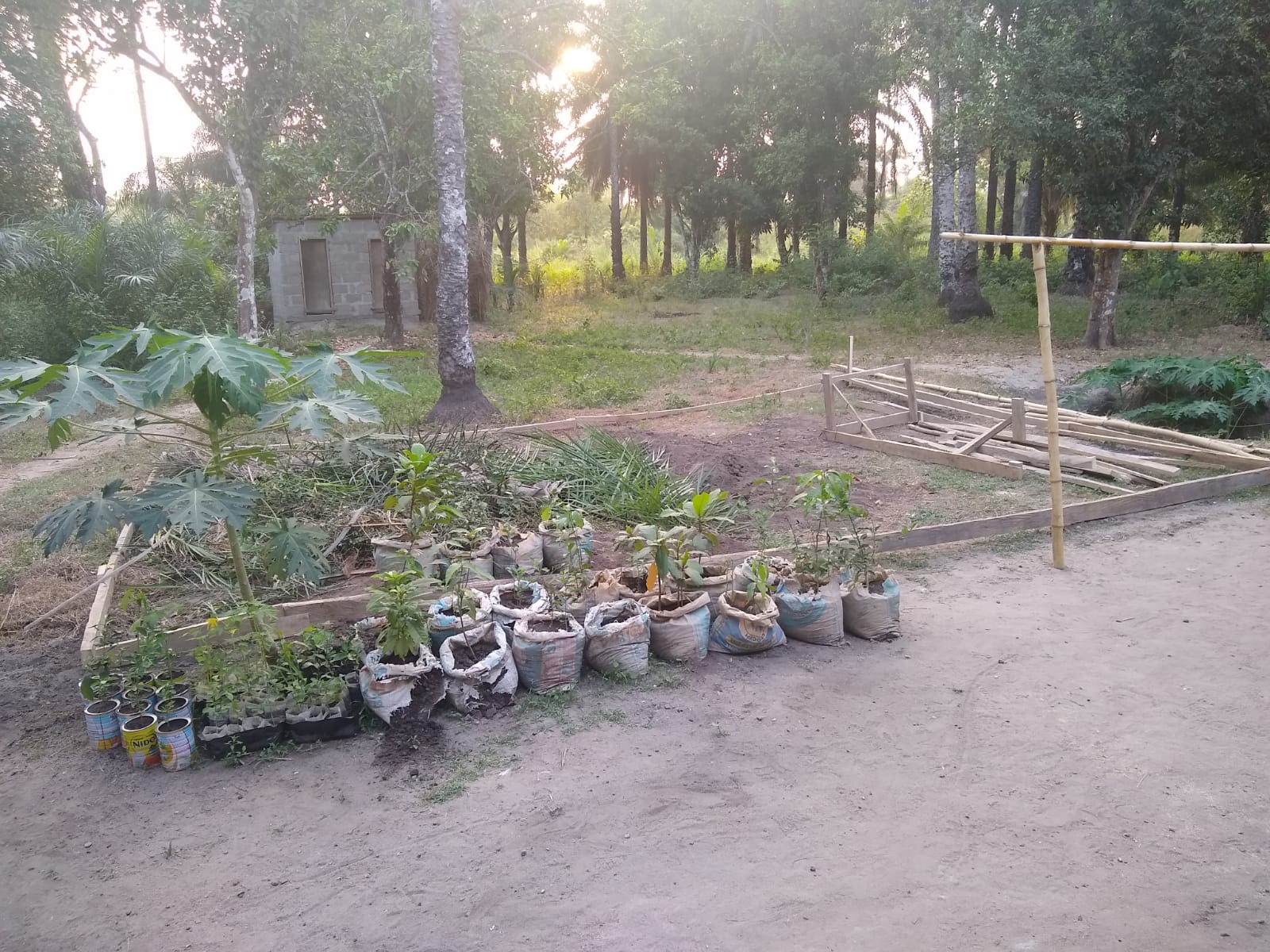 Agriculture