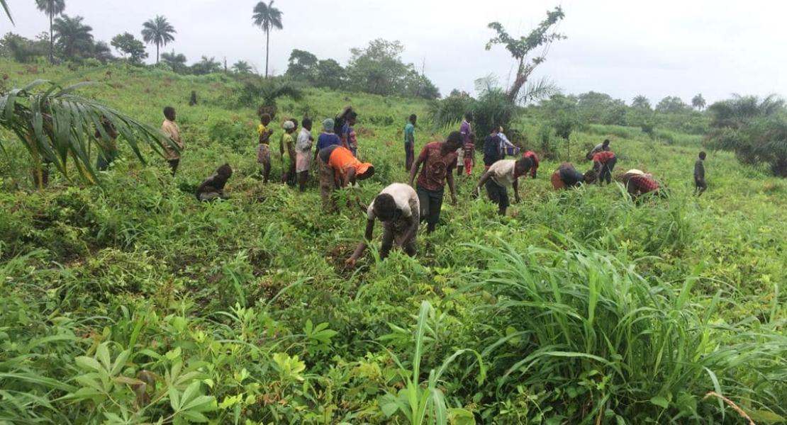 Agricultural Program