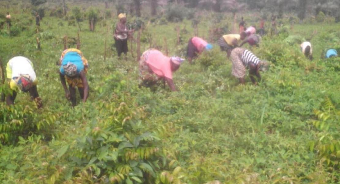 Agricultural Program
