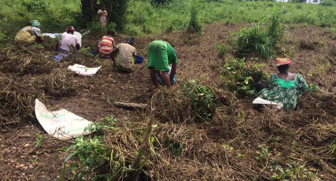 Agricultural Program