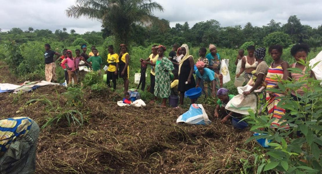Agricultural Program