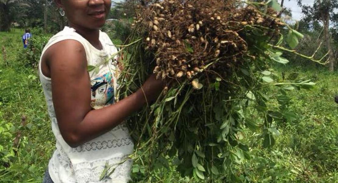 Agricultural Program